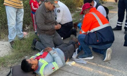 Caballo provoca accidente de moto en Pánuco