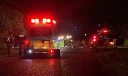 Otro atropellado en El Aguacate: Carretera Álamo-Tuxpan se convierte en zona peligrosa