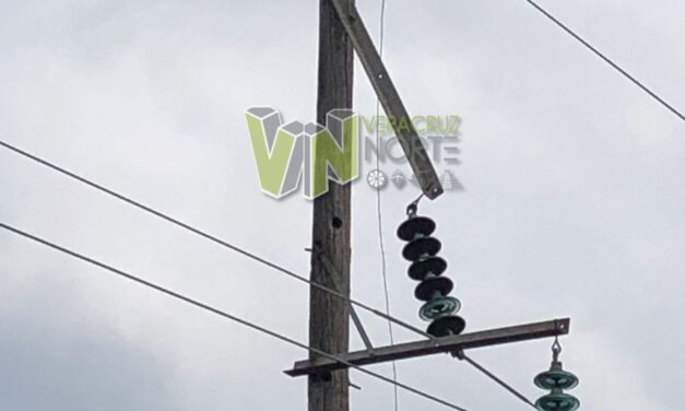 Álamo: Poste en Malas Condiciones Amenaza la Seguridad de Niños en Estero del Ídolo