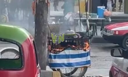 Incendio consume puesto de tacos en Álamo