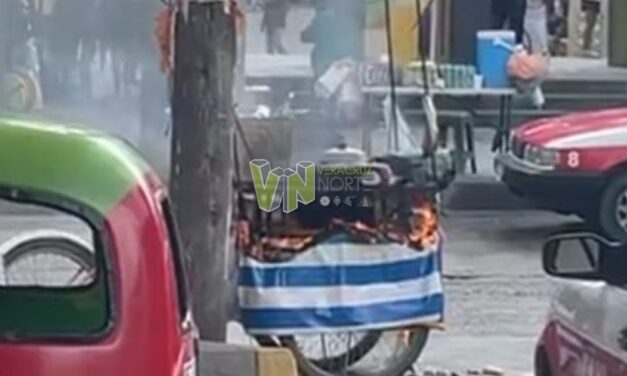 Incendio consume puesto de tacos en Álamo