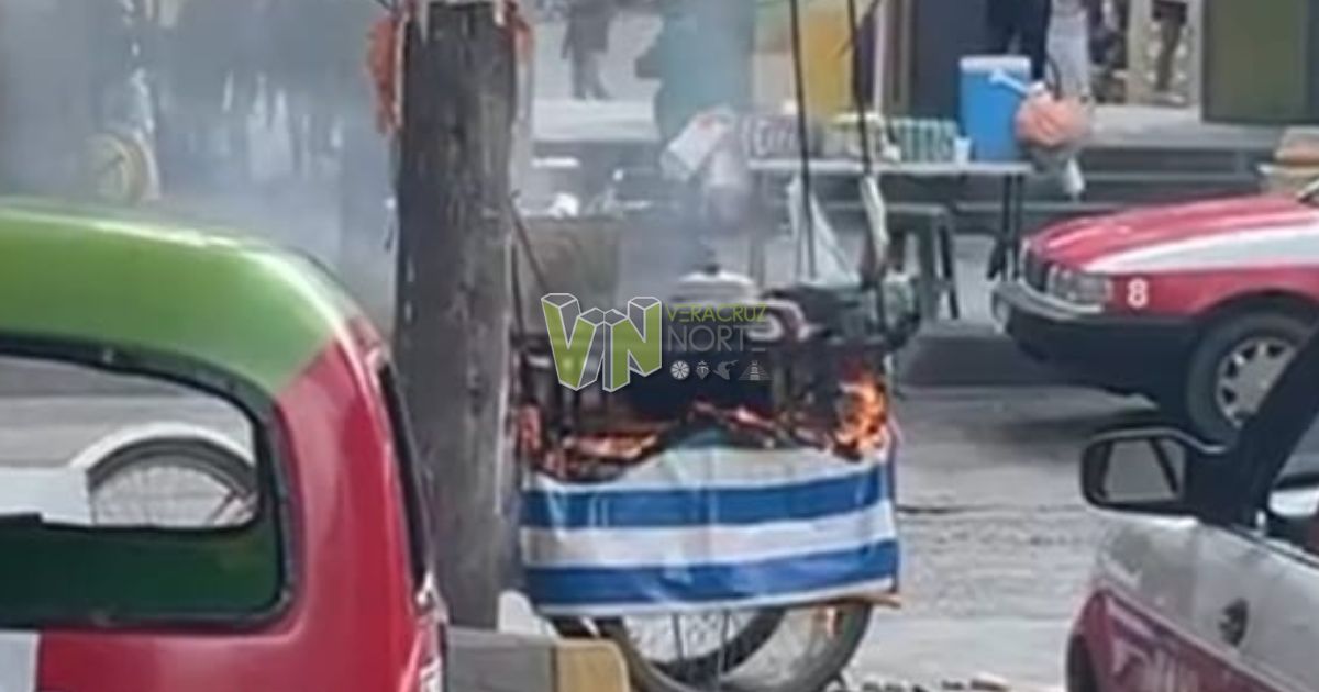 Incendio consume puesto de tacos en Álamo