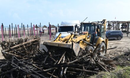 Personal del Ayuntamiento de Tuxpan, SEDENA, sociedad civil y prestadores de servicios realizaron limpieza de playas