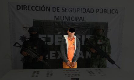 Papantla: Fuerzas armadas trabajan en la erradicación de sustancias ilegales nocivas para la juventud