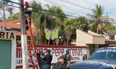 Retiran cámaras apócrifas del bulevar Quintana Roo en Álamo