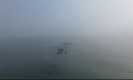 Tragedia en Cabo Rojo: Pescador pierde la vida en la laguna de Tamiahua