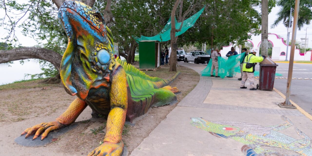 Tuxpan protege a las iguanas del santuario ante las bajas temperaturas que se aproximan