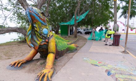 Tuxpan protege a las iguanas del santuario ante las bajas temperaturas que se aproximan