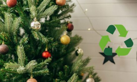 Tuxpan: El 10 de enero inicia la campaña Eco Navidad, para reciclar tu árbol