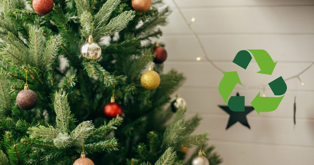 Tuxpan: El 10 de enero inicia la campaña Eco Navidad, para reciclar tu árbol