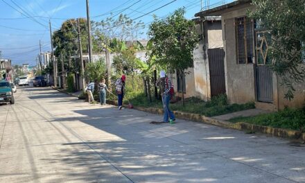 REALIZAN JORNADA DE LIMPIEZA CITLALTÉPETL