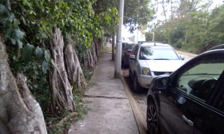 Tuxpan: Se reactivó el alumbrado público y se rescataron banquetas en el acceso al IMSS y colonia Petrolera