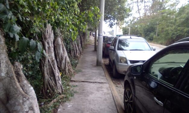 Tuxpan: Se reactivó el alumbrado público y se rescataron banquetas en el acceso al IMSS y colonia Petrolera