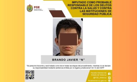 Imputado por delitos contra la salud y contra las instituciones de seguridad pública