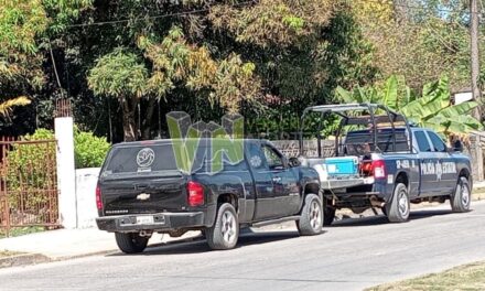 Álamo: Hallan a hombre sin vida en su domicilio