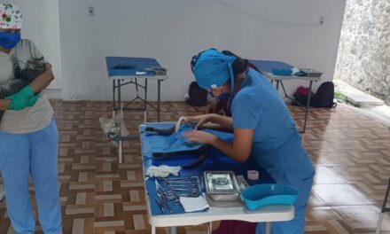 Continúan las jornadas de esterilización de mascotas en Álamo: La próxima será el 06 de abril