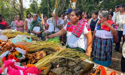 Legados Culturales desplazados en Veracruz