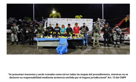 Detienen a cuatro personas y aseguran vehículos, objetos y fauna protegida en cateo conjunto en Martínez de la Torre