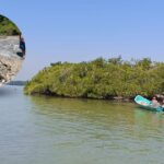 Manglares en peligro: Construcción de un puente en islote de Pueblo Viejo genera controversia