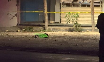 Macabro hallazgo en Álamo