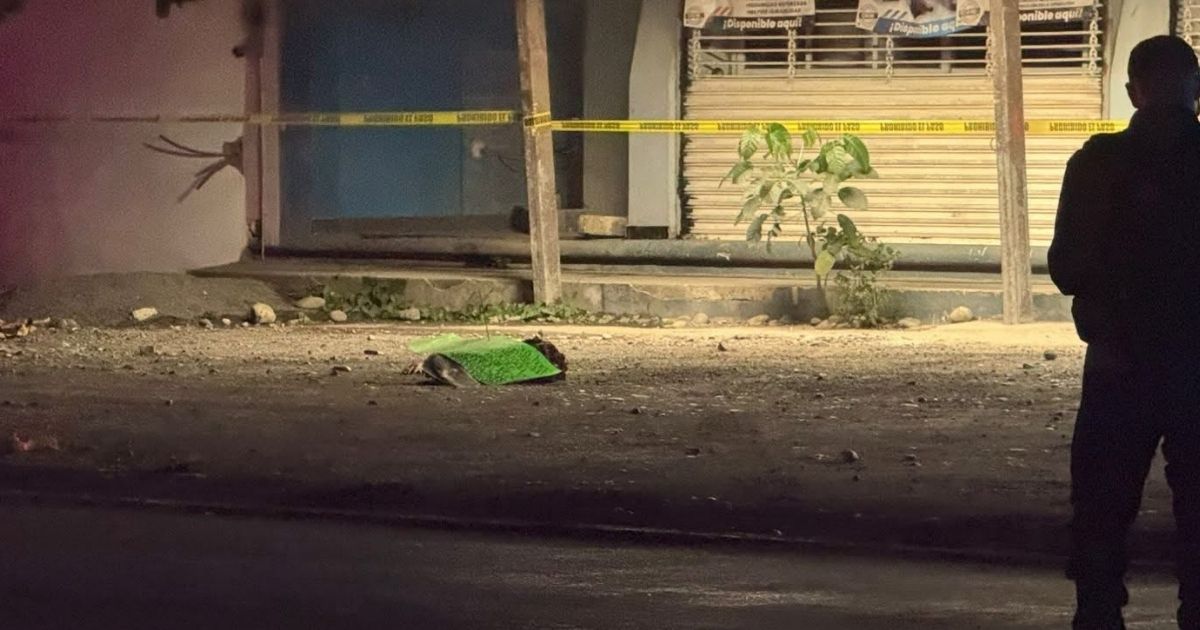 Macabro hallazgo en Álamo