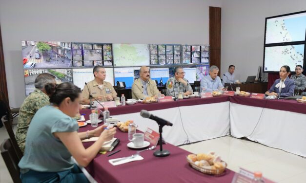 Mesa de Coordinación Estatal de Construcción de Paz y Seguridad: Resultados para Veracruz Norte