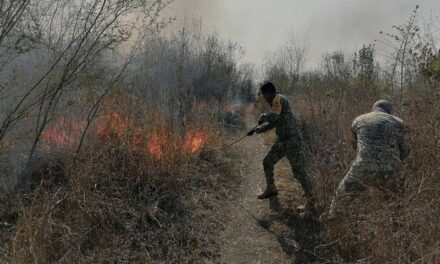 Tempoal: Presunta quema de basura se sale de control en Manantiales