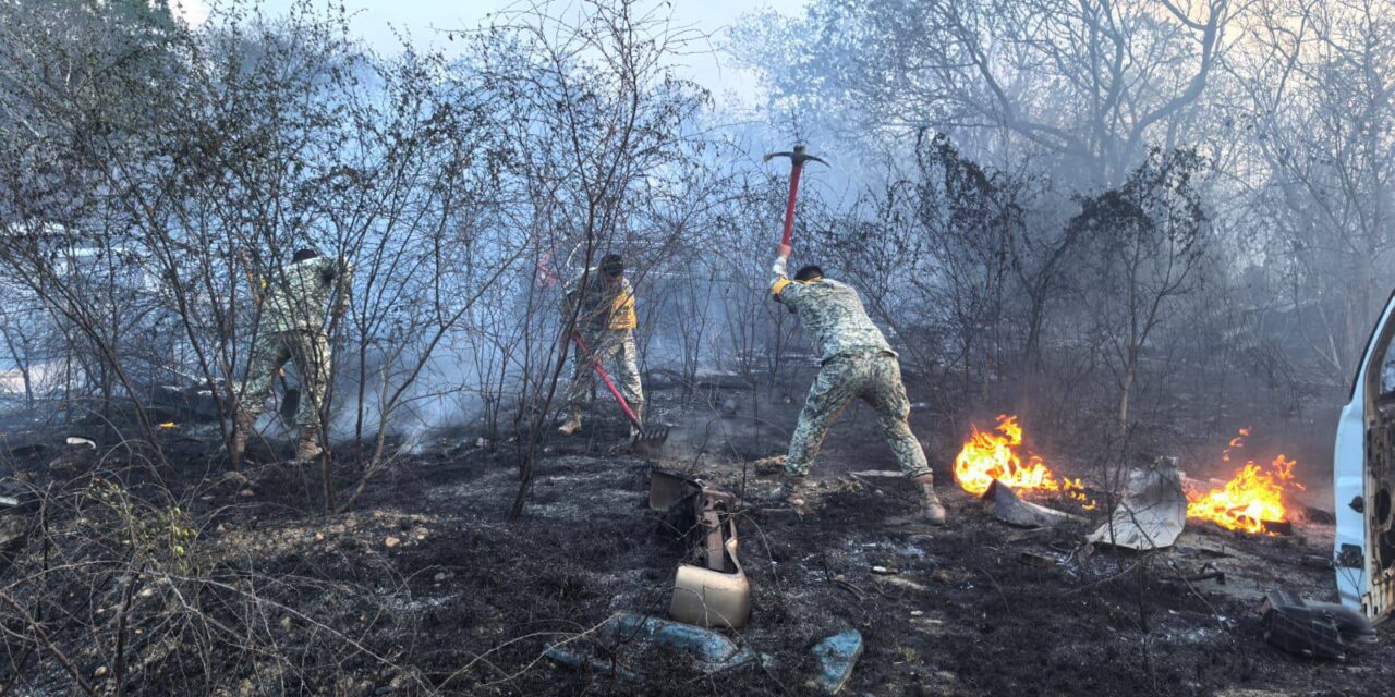 Cuerpos de emergencia controlan incendios en Álamo y Tempoal