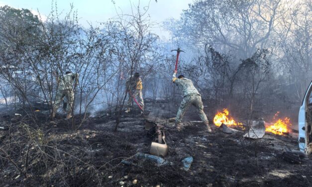 Cuerpos de emergencia controlan incendios en Álamo y Tempoal