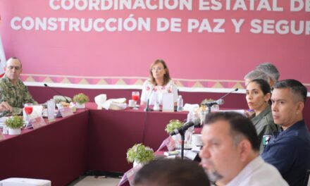Realizan Mesa de Coordinación Estatal de Construcción de Paz y Seguridad en Tihuatlán