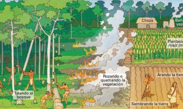 ¿Por qué llueven cenizas?