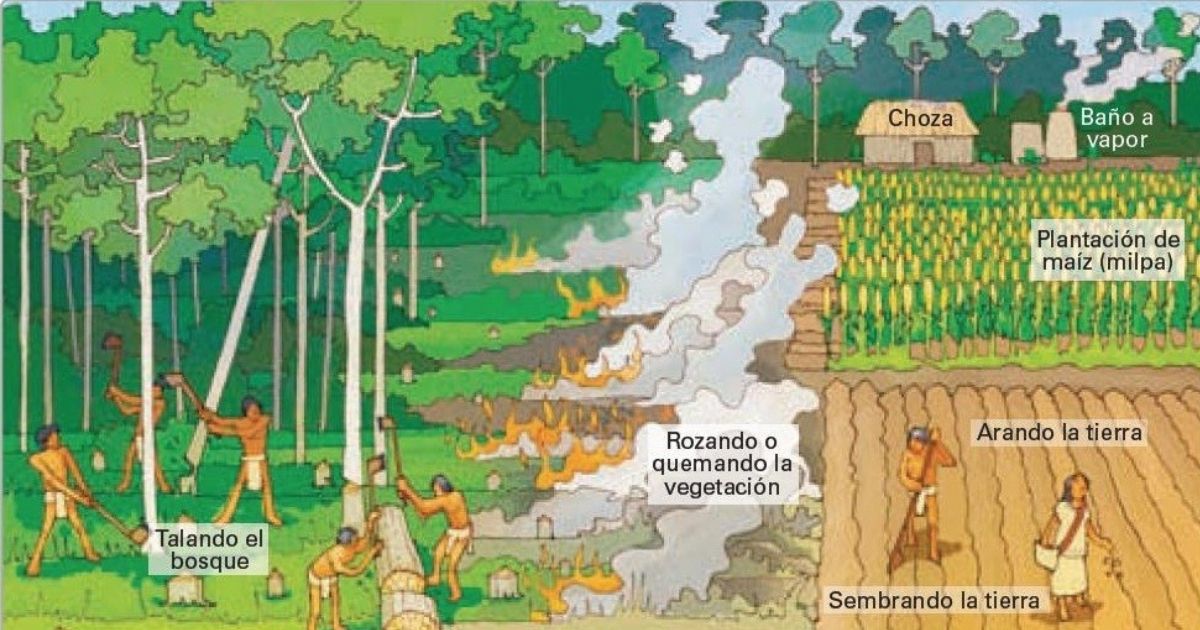 ¿Por qué llueven cenizas?
