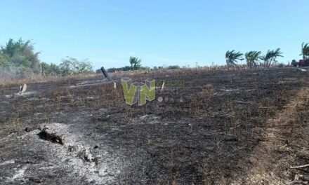 Alerta en Álamo por Reavivación de Incendios