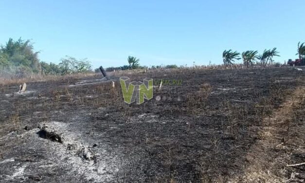 Alerta en Álamo por Reavivación de Incendios