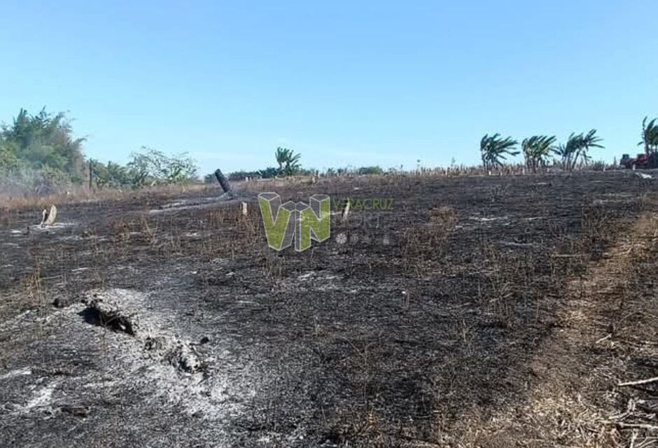 Alerta en Álamo por Reavivación de Incendios