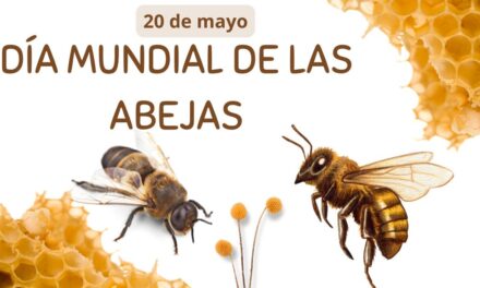 La Importancia de las Abejas: Un Día para la Conciencia Global