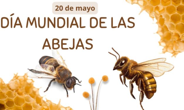 La Importancia de las Abejas: Un Día para la Conciencia Global
