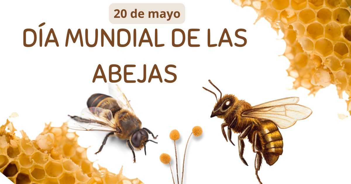 La Importancia de las Abejas: Un Día para la Conciencia Global