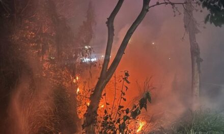 Gobierno de Tuxpan emite recomendaciones para prevenir incendios de pastizales