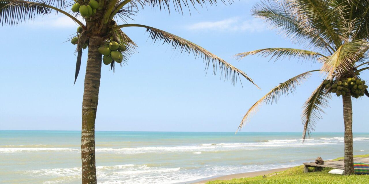 Tecolutla, joya tropical del norte veracruzano, invita al turismo sostenible