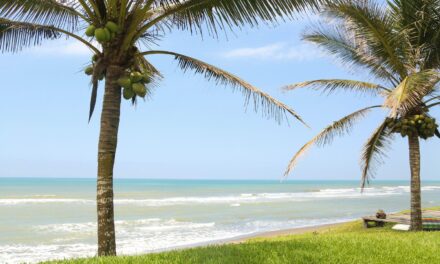 Tecolutla, joya tropical del norte veracruzano, invita al turismo sostenible