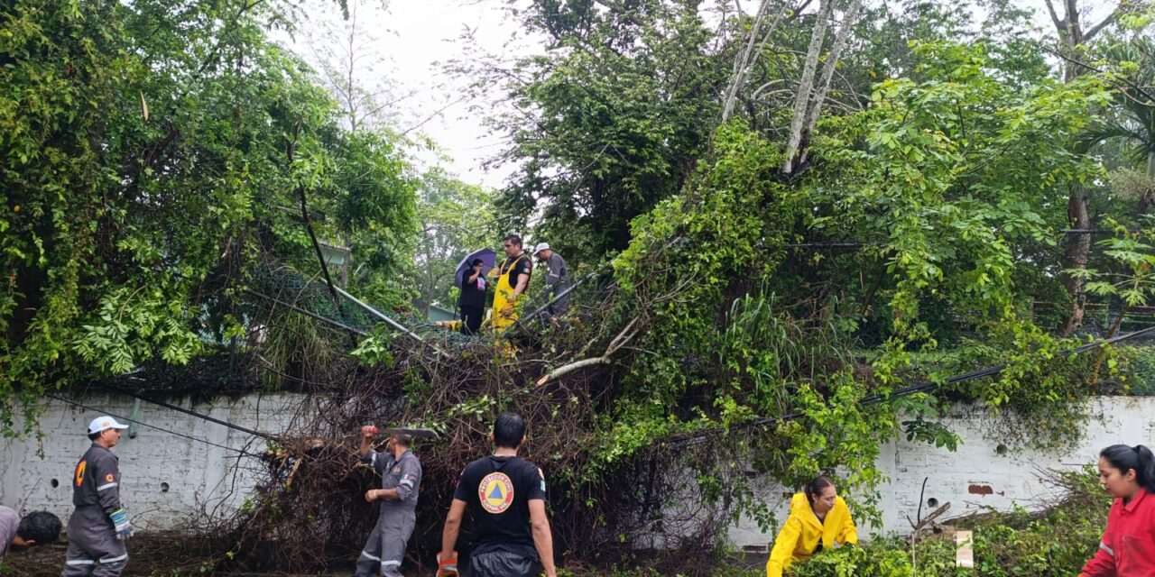 PC y Bomberos atienden afectaciones menores en la ciudad, provocadas por las intensas lluvias