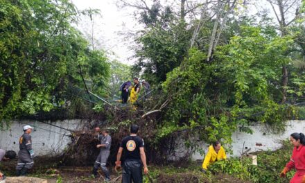 PC y Bomberos atienden afectaciones menores en la ciudad, provocadas por las intensas lluvias