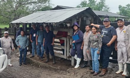 Tuxpan: Concluyó la capacitación a médicos veterinarios zootecnistas que participarán en la Campaña Nacional contra la Tuberculosis Bovina