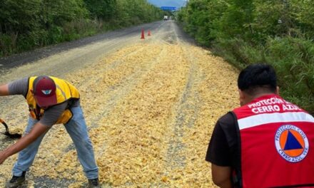 Evitan Accidente Mayor: PC retira bagazo de naranja regado sobre la carretera Cerro Azul-Potrero del Llano