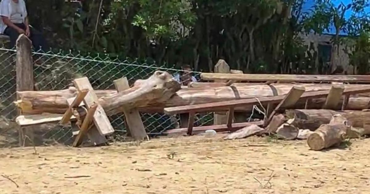 Colapsa Palo Volador en Tihuatlán: cinco danzantes resultan lesionados