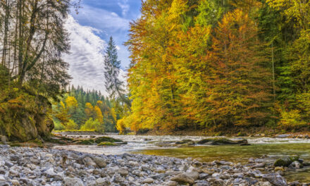 Get More Exited With Latest Release Of Our Product