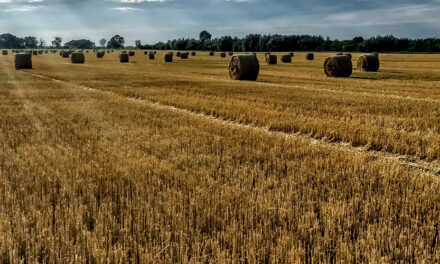 Markets Recovered Quickly From Past Viral Outbreaks.