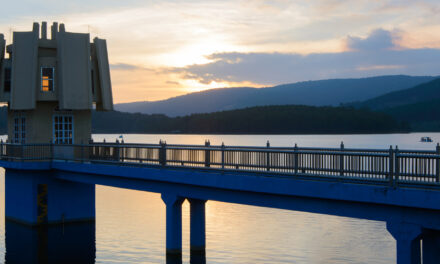 Explore More Advanced Features In Product