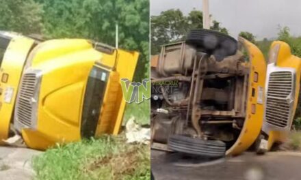 Vuelca camión de la carga en carretera Álamo-Castillo de Teayo